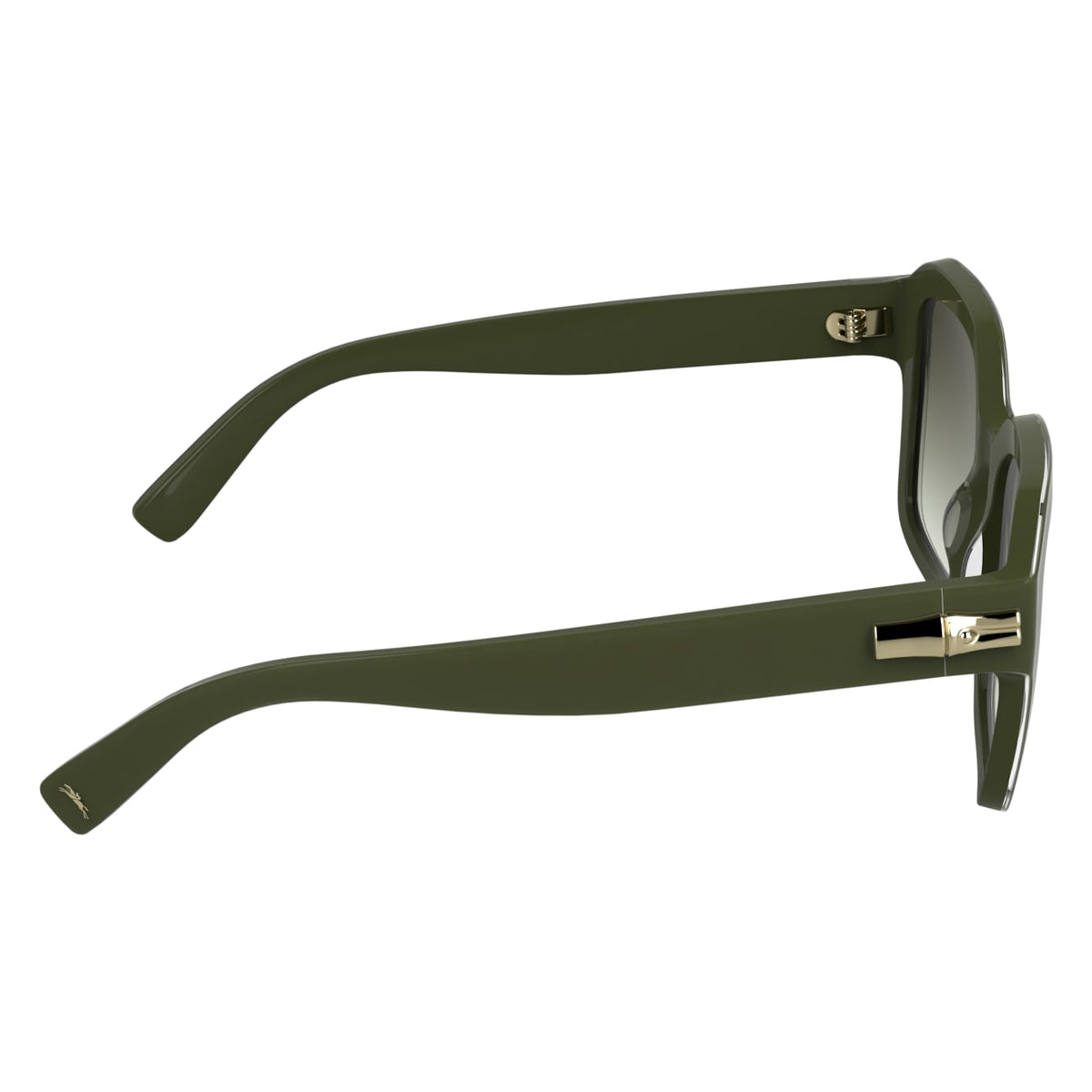 Sunglasses Longchamp LO816S 319 53 20