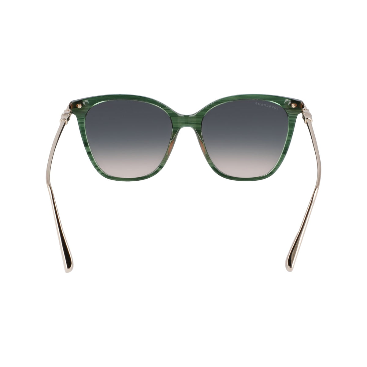 Gafas de Sol Longchamp LO757S 308 55 17
