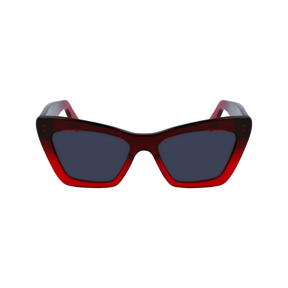 Sunglasses Ferragamo SF929SN 615 55 17