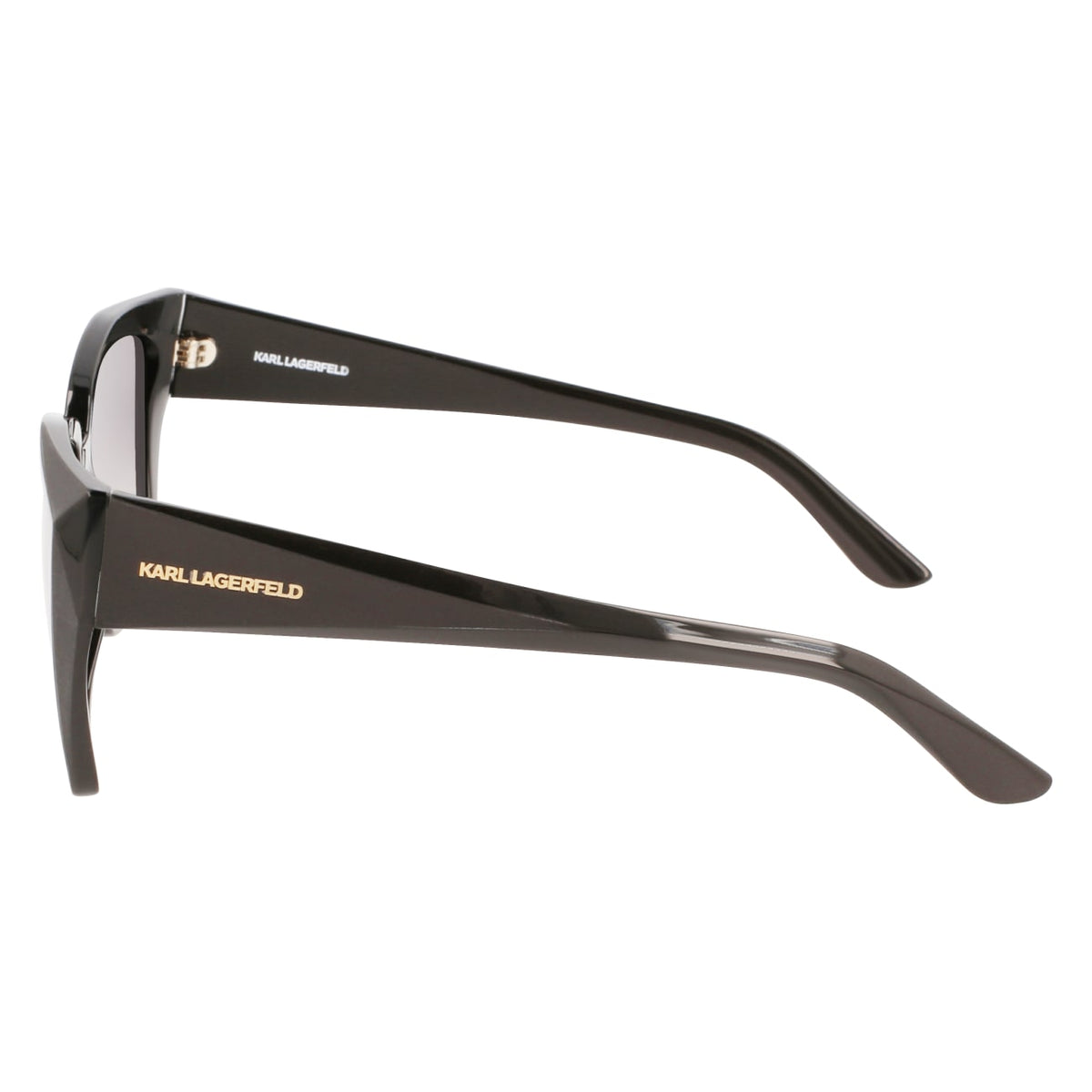 Gafas de Sol Karl Lagerfeld KL6072S 001 55 16