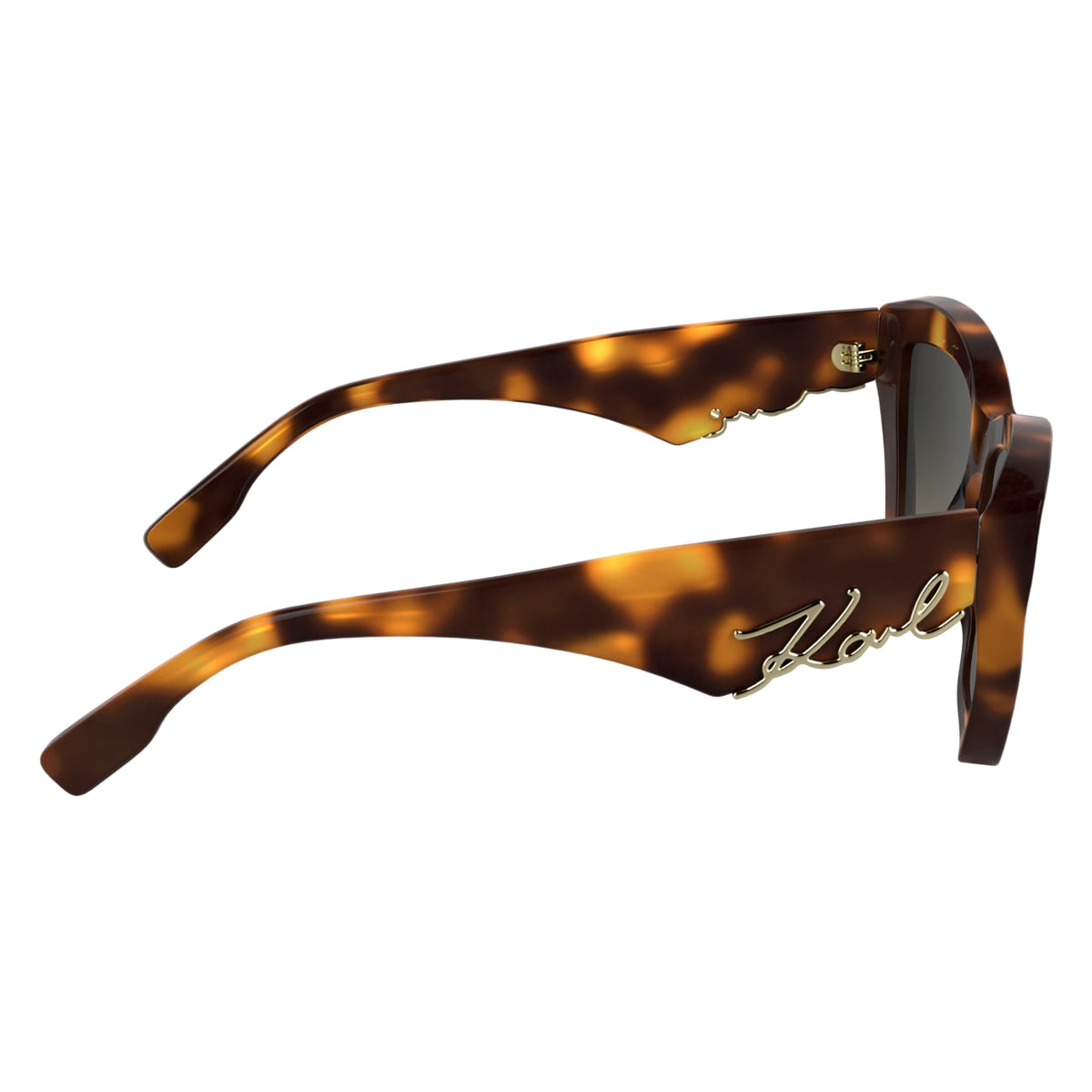 Gafas de Sol Karl Lagerfeld KL6179S 230 55 16