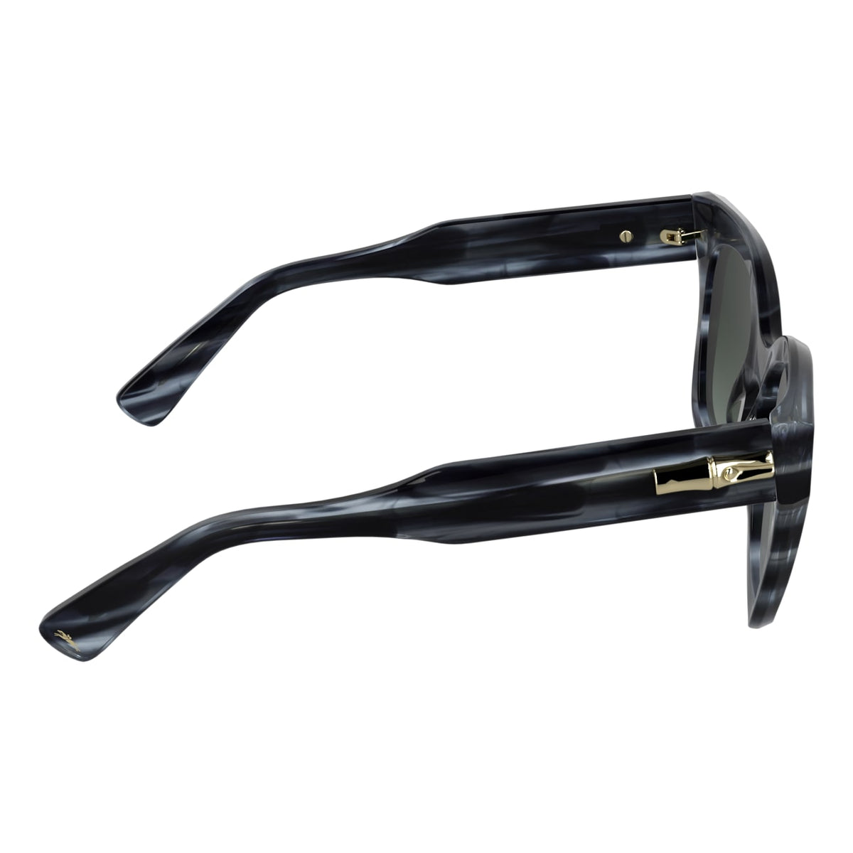 Sunglasses Longchamp LO791S 036 51 21