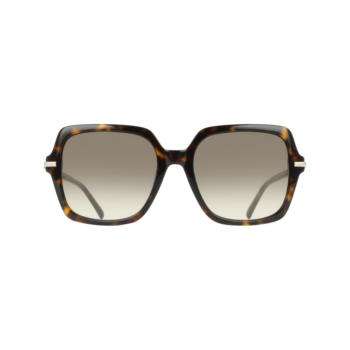 Gafas de Sol Ferragamo SF2076S 242 57 19