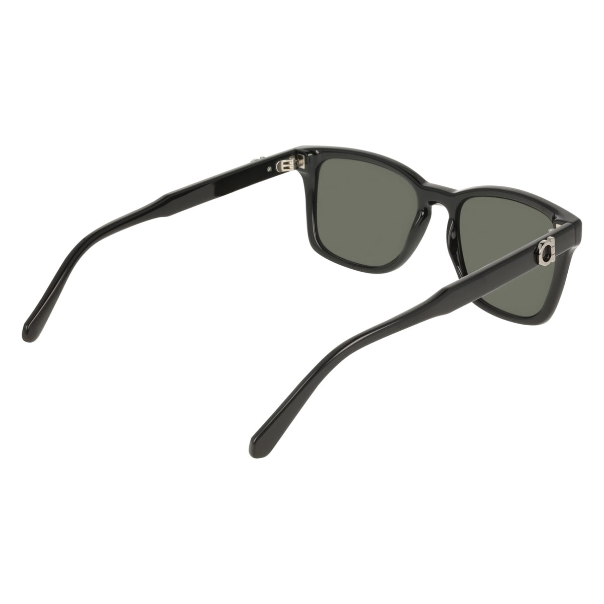 Sunglasses Ferragamo SF2086SE 001 55 19