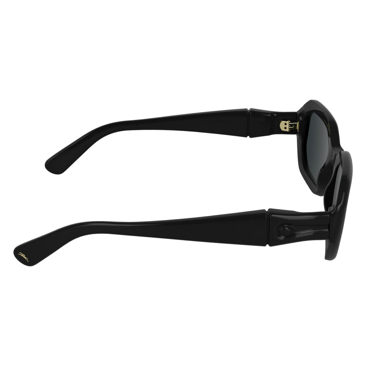 Gafas de Sol Longchamp LO794S 001 52 23