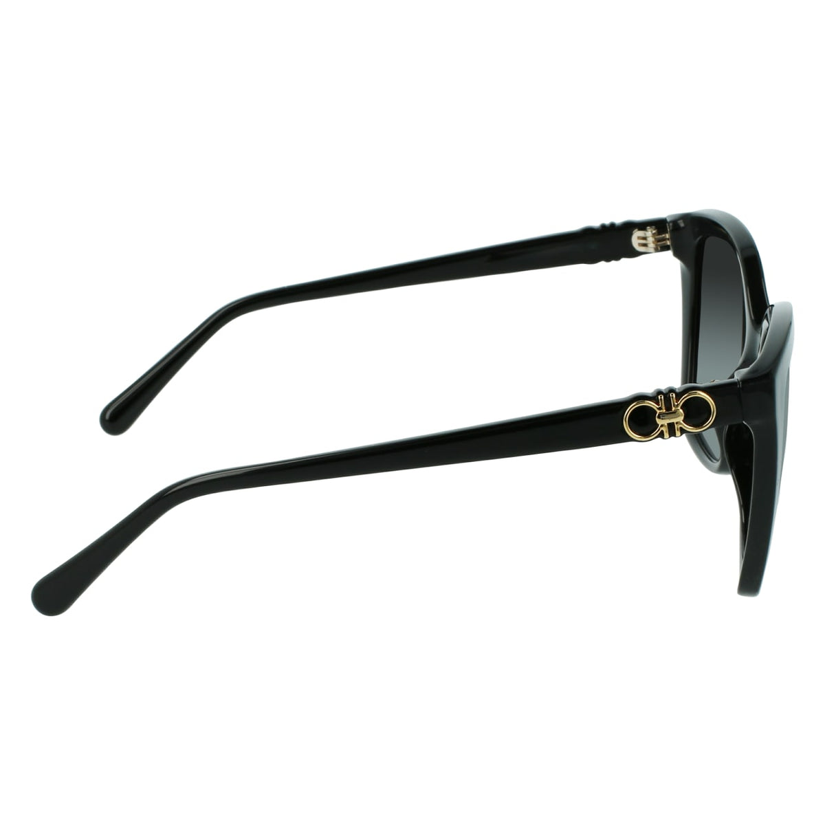 Gafas de Sol Ferragamo SF1026S 001 53.9 19