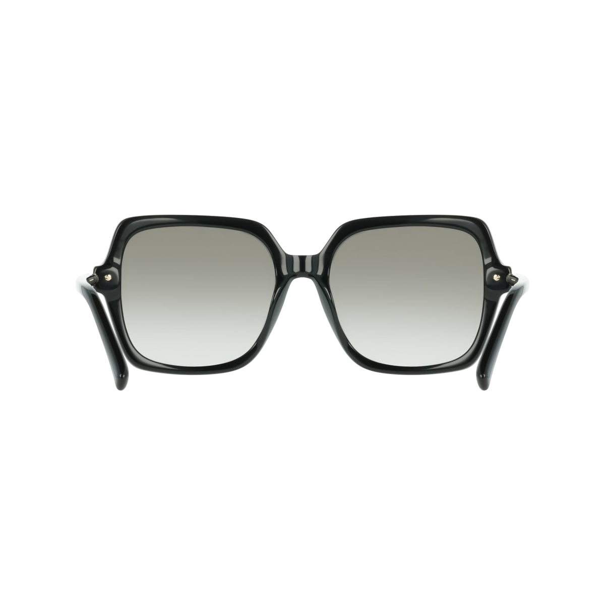 Sunglasses Ferragamo SF2076S 001 57 19