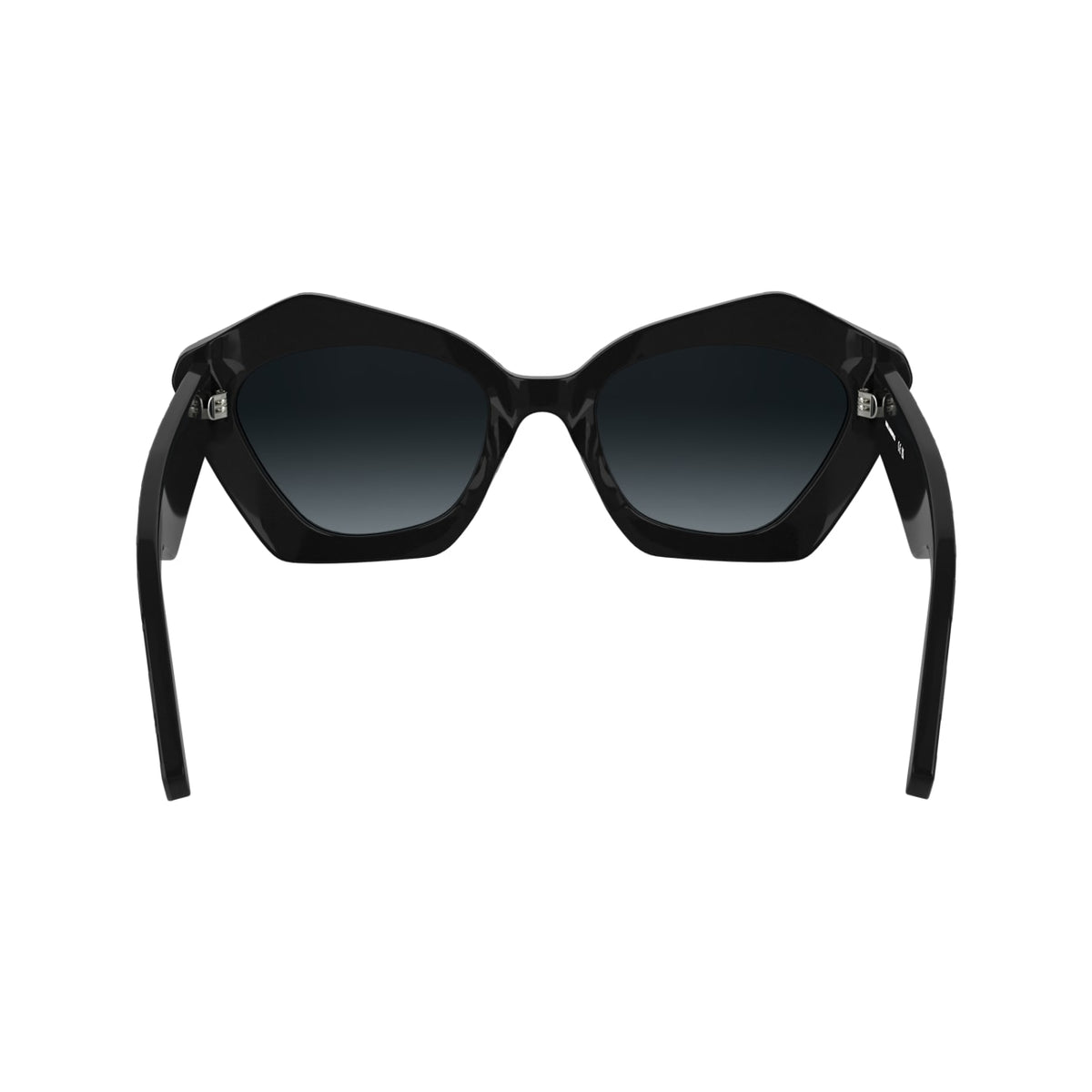 Gafas de Sol Karl Lagerfeld KL6199S 001 53 21