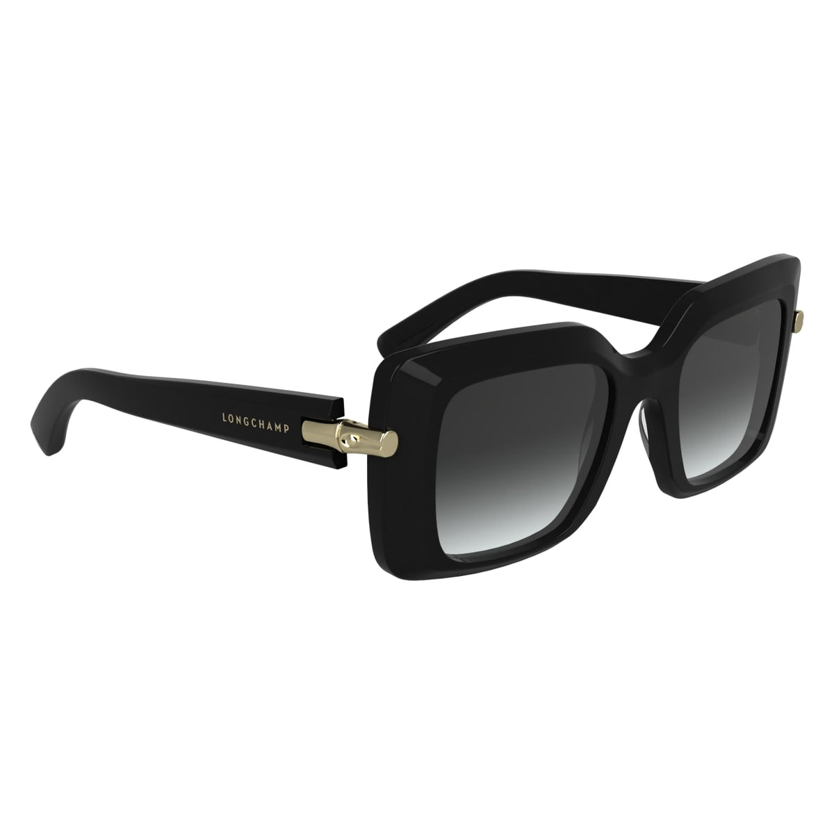 Gafas de Sol Longchamp LO776S 001 50 22