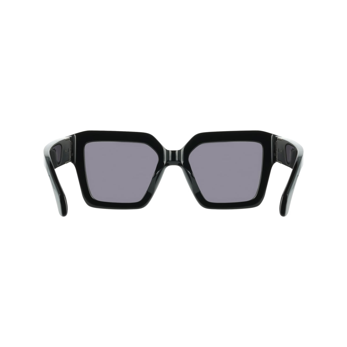 Sunglasses Ferragamo SF2084S 001 53 19