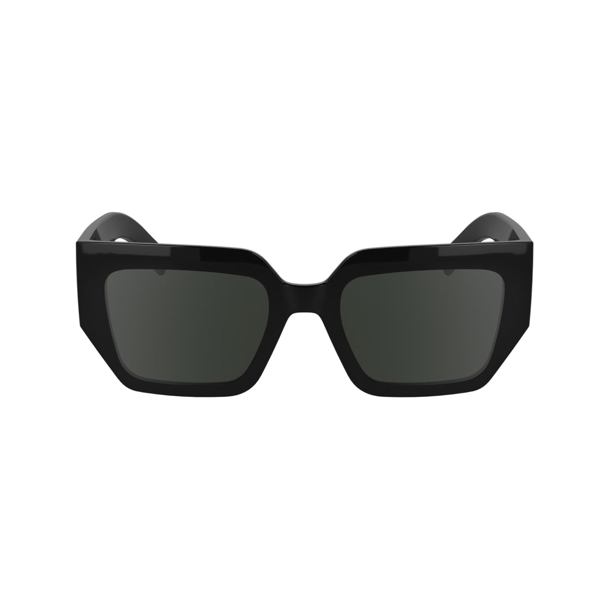 Gafas de Sol Karl Lagerfeld KL6166S 001 53 20