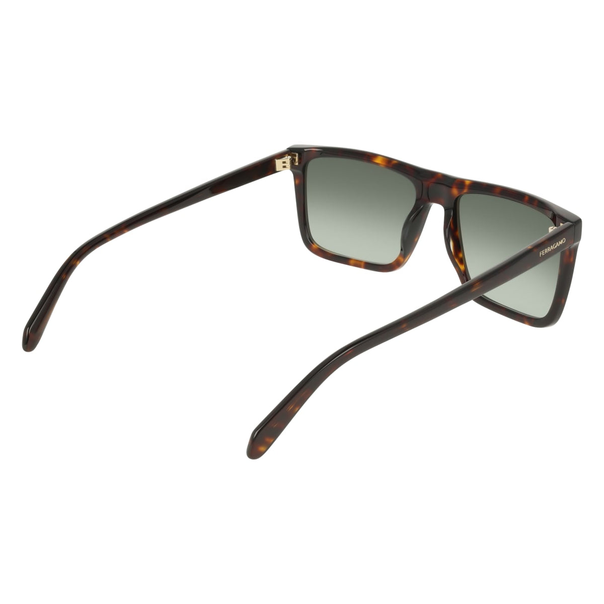 Gafas de Sol Ferragamo SF2123S 242 58 18