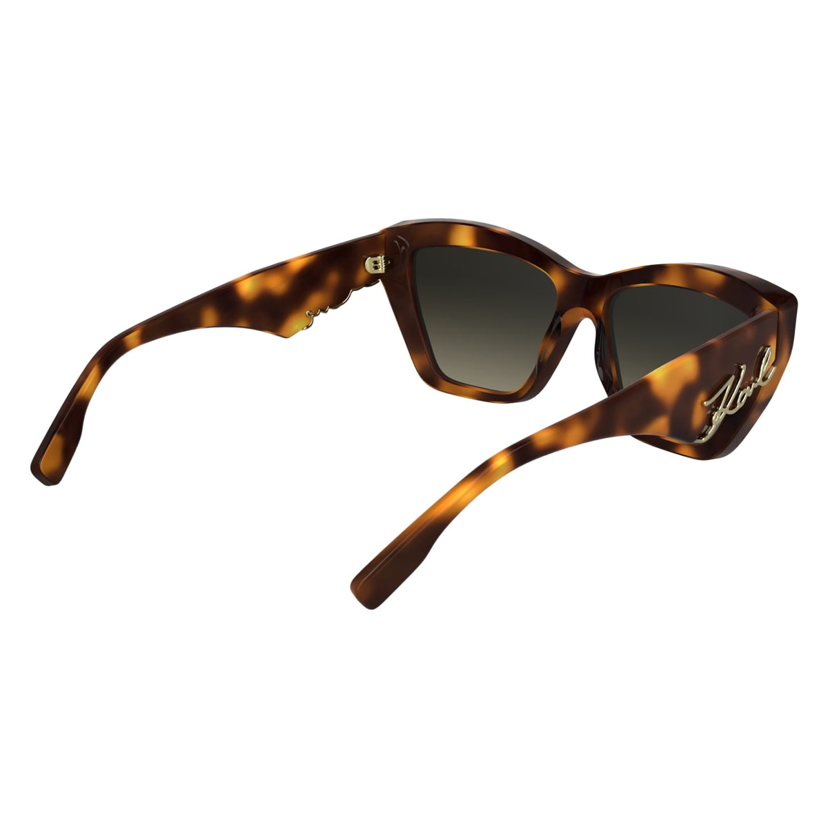 Gafas de Sol Karl Lagerfeld KL6179S 230 55 16
