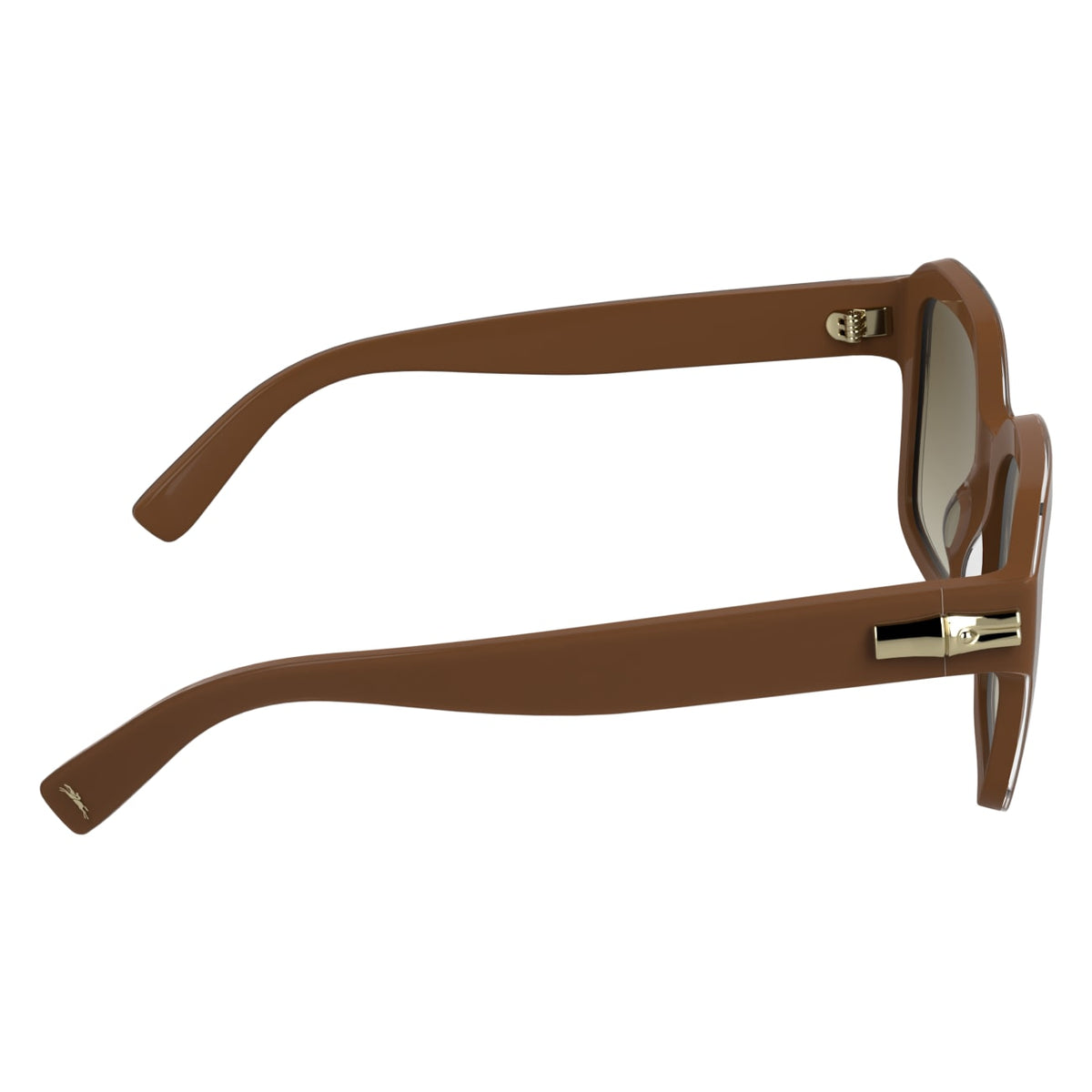 Sunglasses Longchamp LO816S 200 53 20