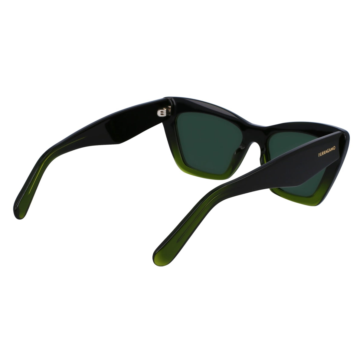 Sunglasses Ferragamo SF929SN 316 55 17