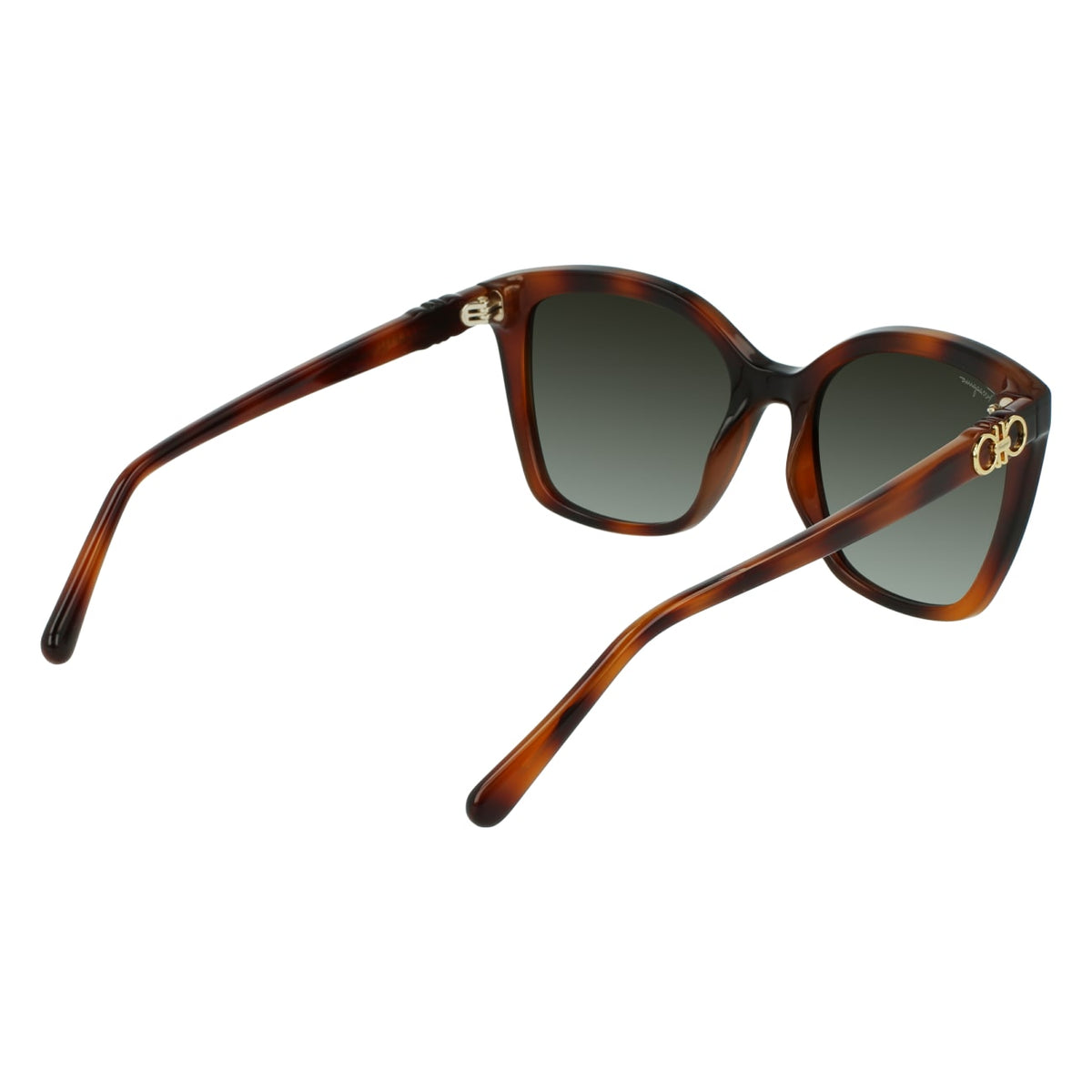 Gafas de Sol Ferragamo SF1026S 214 53.9 19