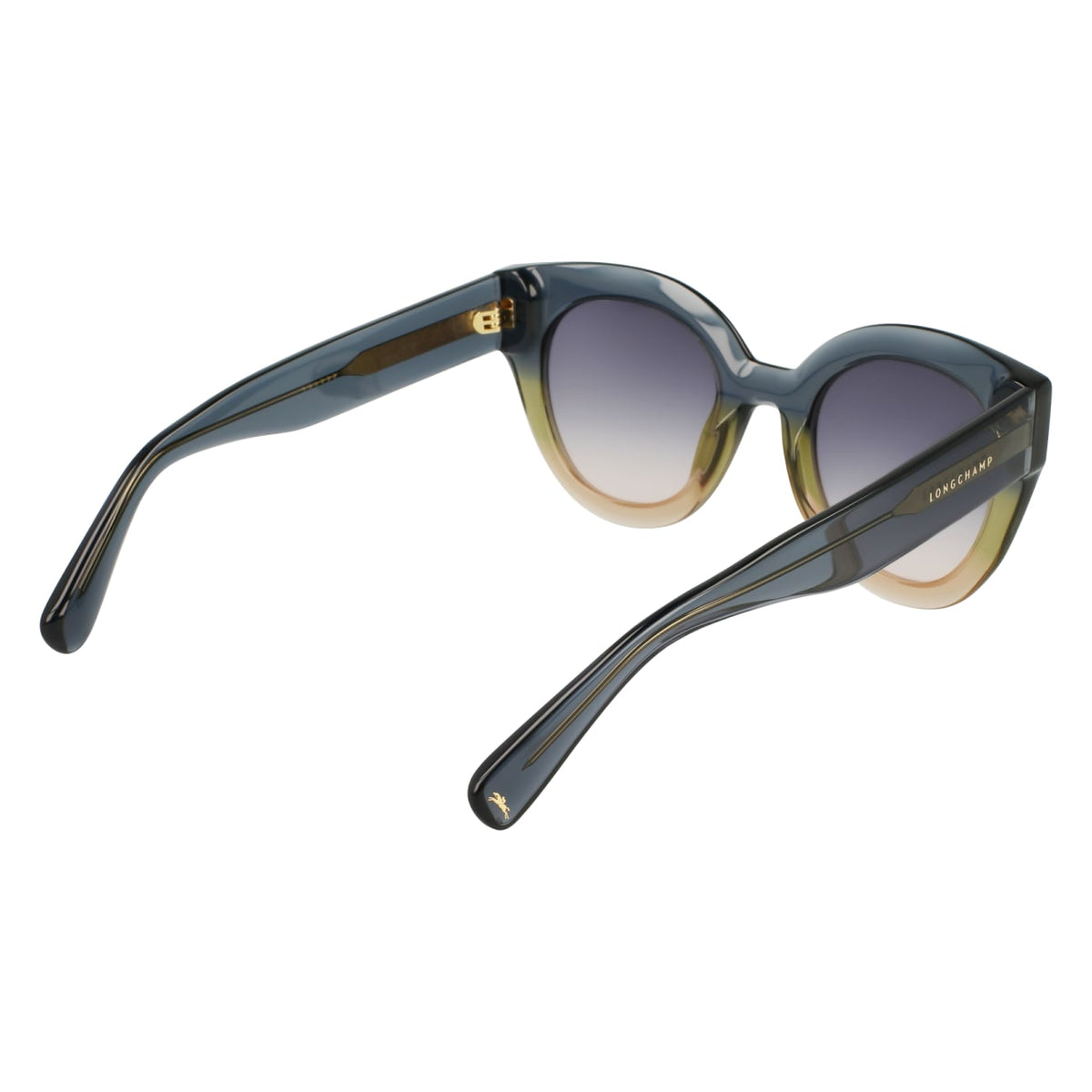 Sunglasses Longchamp LO750S 434 49 23