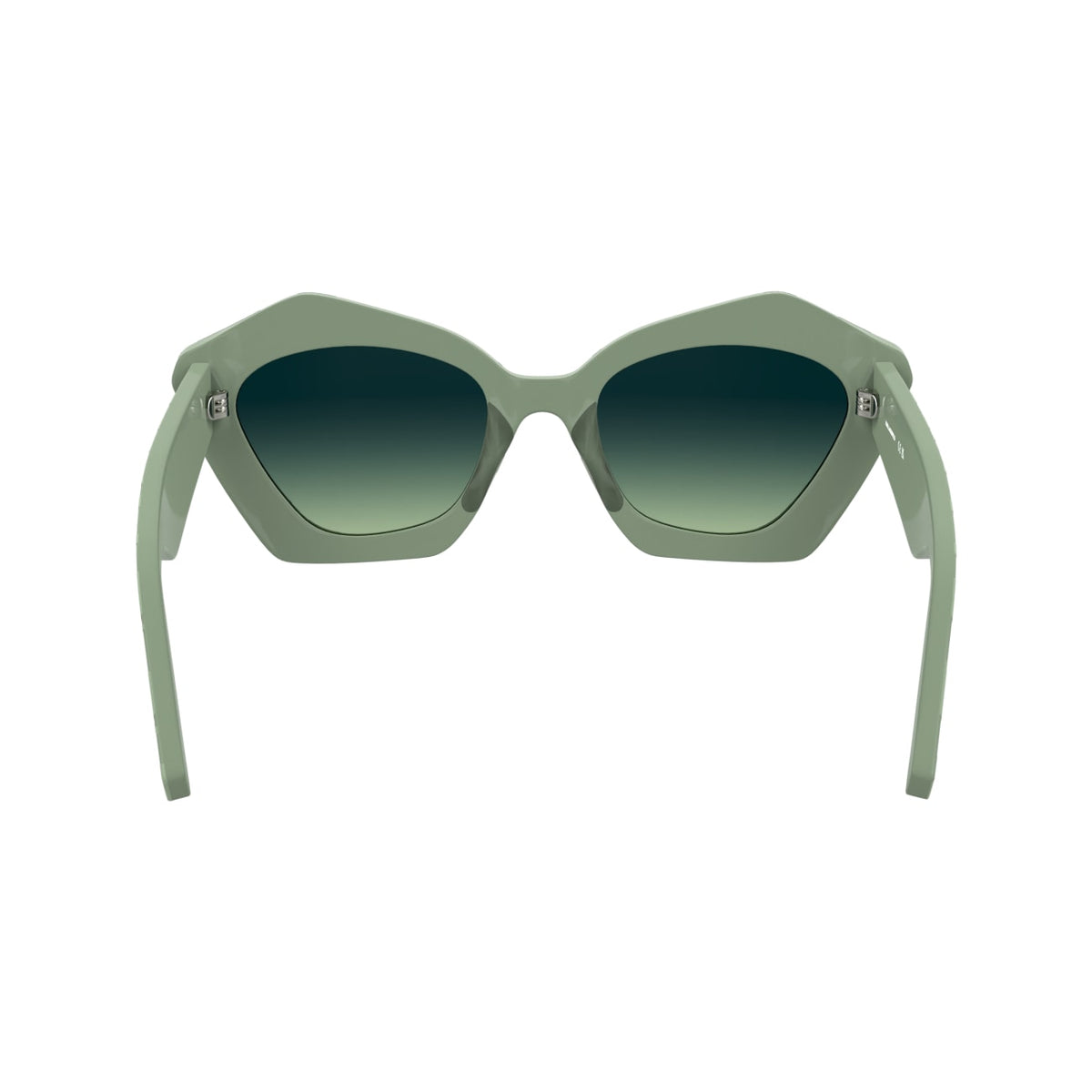Gafas de Sol Karl Lagerfeld KL6199S 316 53 21