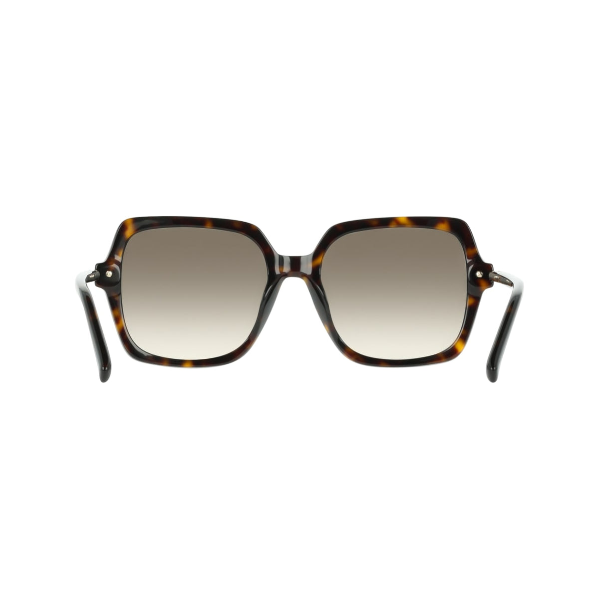 Gafas de Sol Ferragamo SF2076S 242 57 19