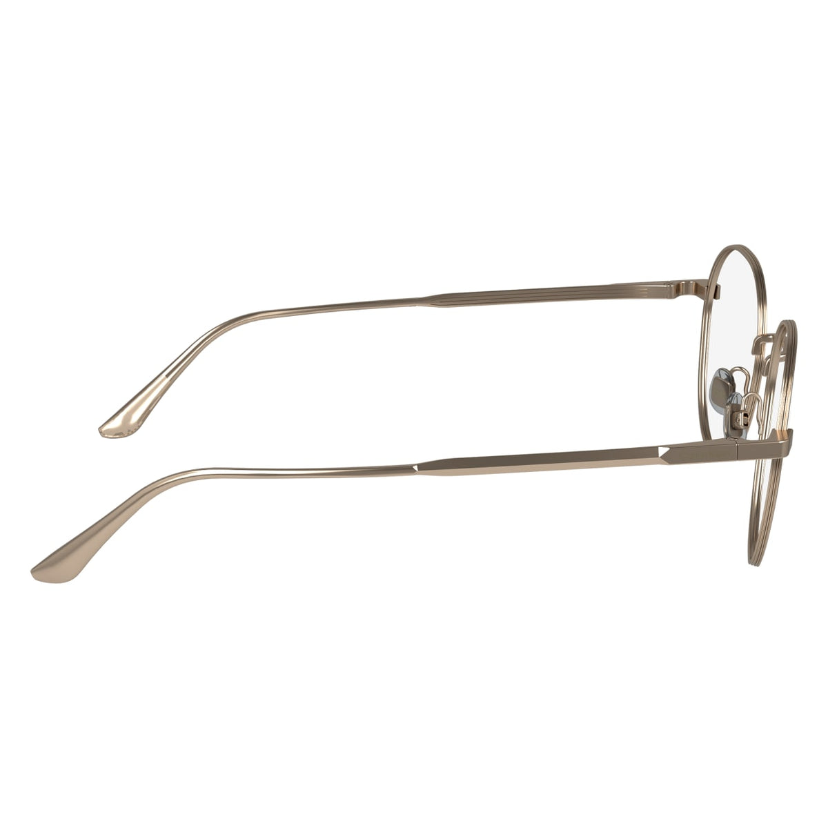 Prescription Glasses Calvin Klein (Ck) CK24101N 770 49 / 51 18