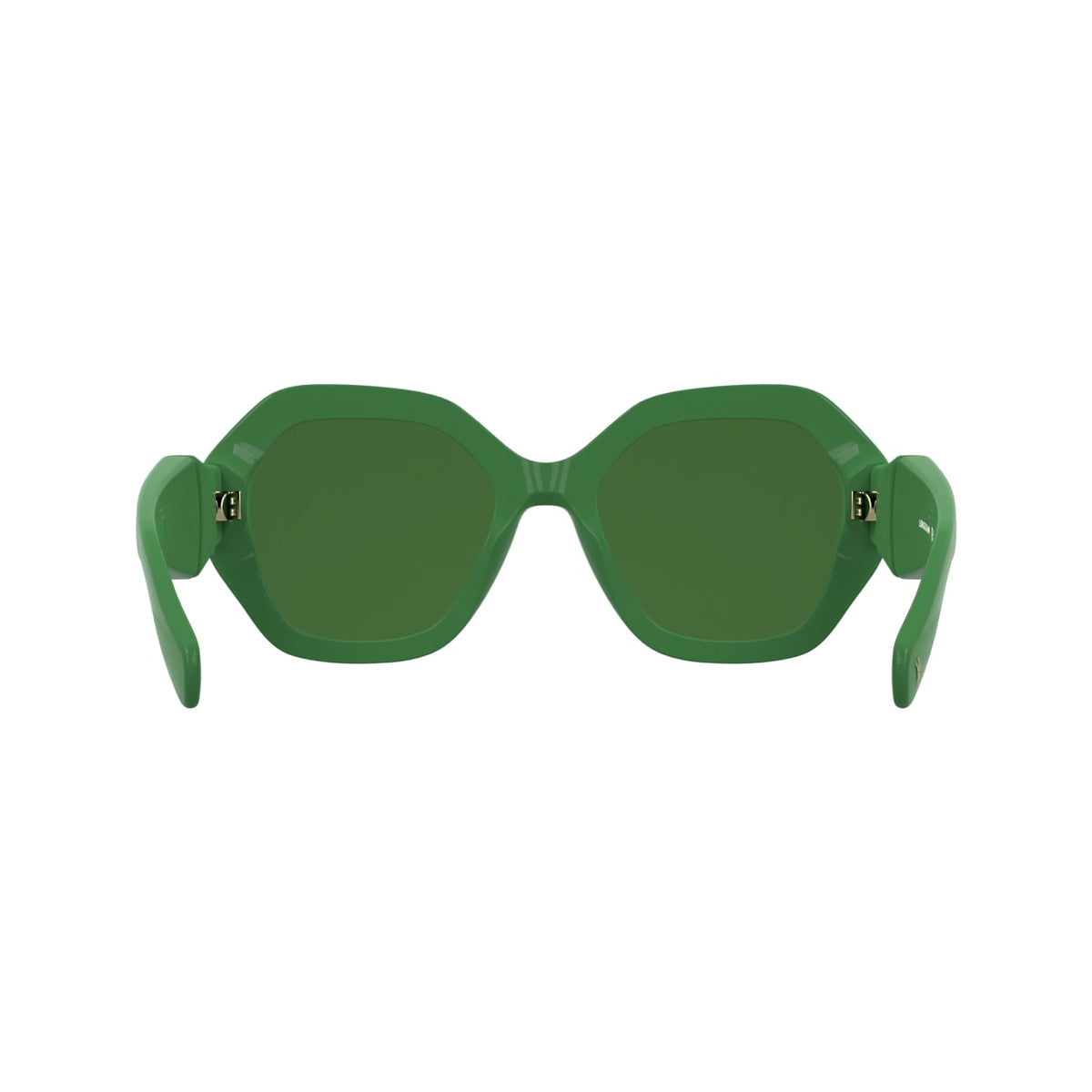 Gafas de Sol Longchamp LO814S 303 55 21