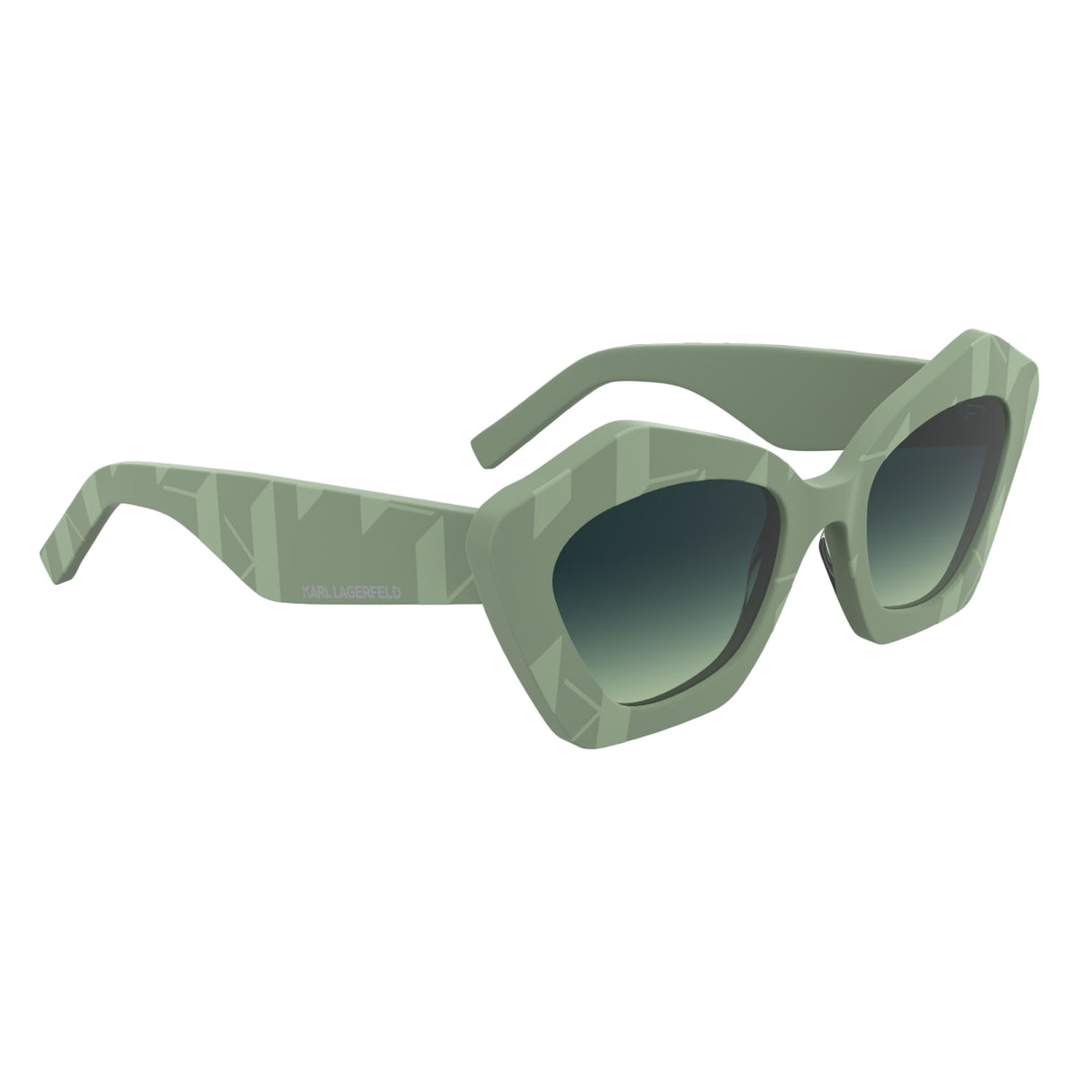 Gafas de Sol Karl Lagerfeld KL6199S 316 53 21