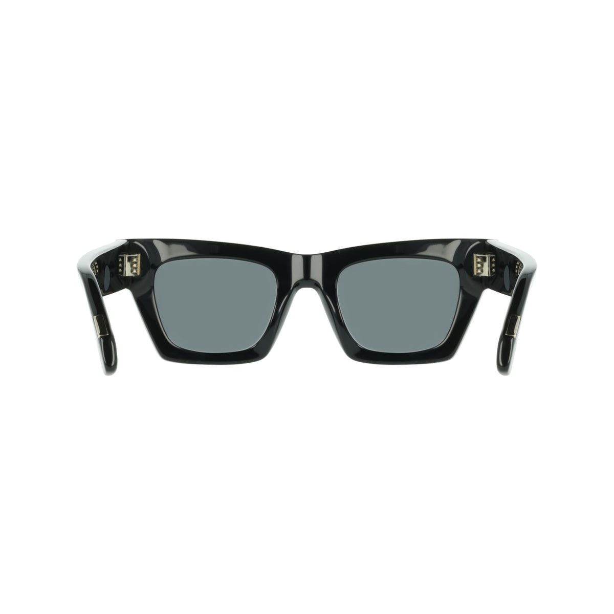 Sunglasses Ferragamo SF2105S 001 50 23