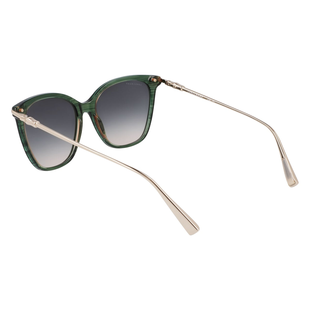 Gafas de Sol Longchamp LO757S 308 55 17