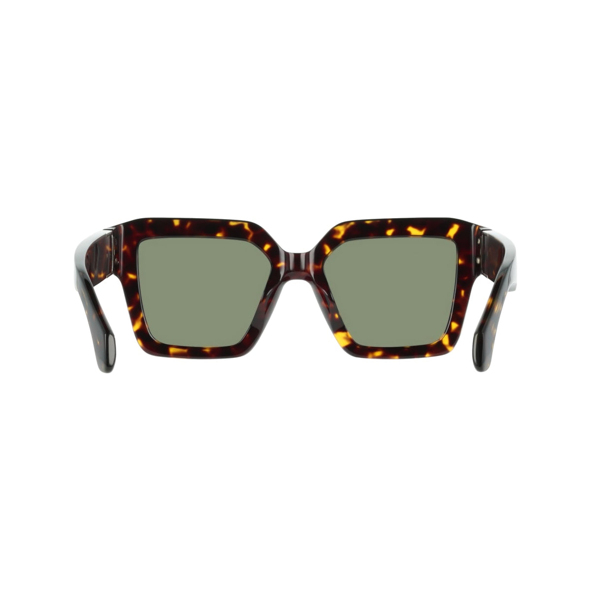 Sunglasses Ferragamo SF2084S 242 53 19