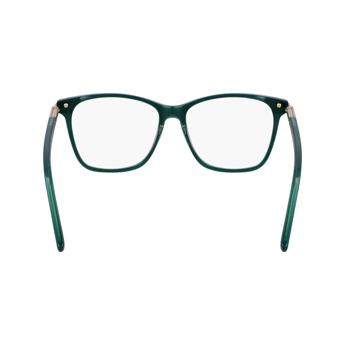 Prescription Glasses Ferragamo SF3013 317 55 15
