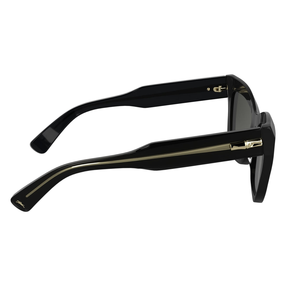 Sunglasses Longchamp LO777S 001 53 19