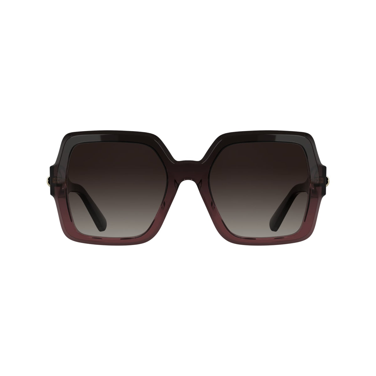 Gafas de Sol Longchamp LO790S 604 54 22