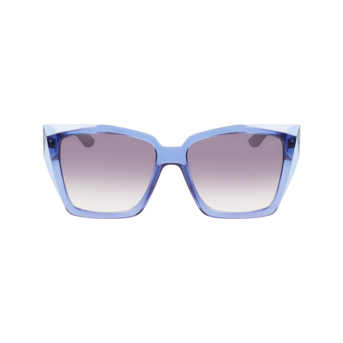 Gafas de Sol Karl Lagerfeld KL6072S 450 55 16