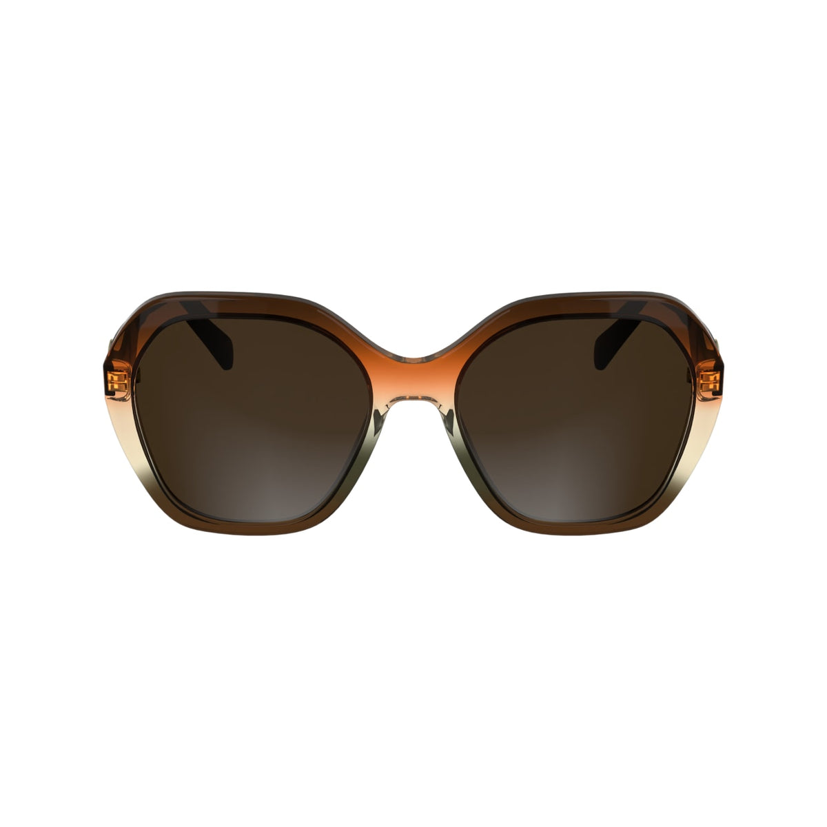 Gafas de Sol Longchamp LO759S 209 54 18