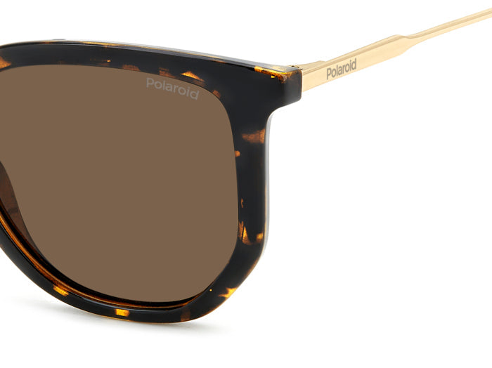 Sunglasses Polaroid PLD 4185/S/X 086SP 51 21