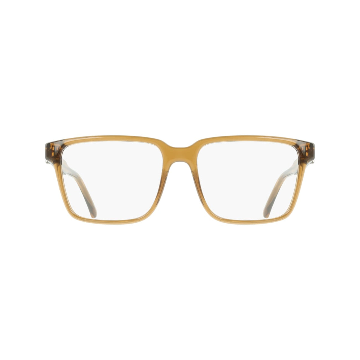 Gafas Graduadas Ferragamo SF3028E 278 55 17