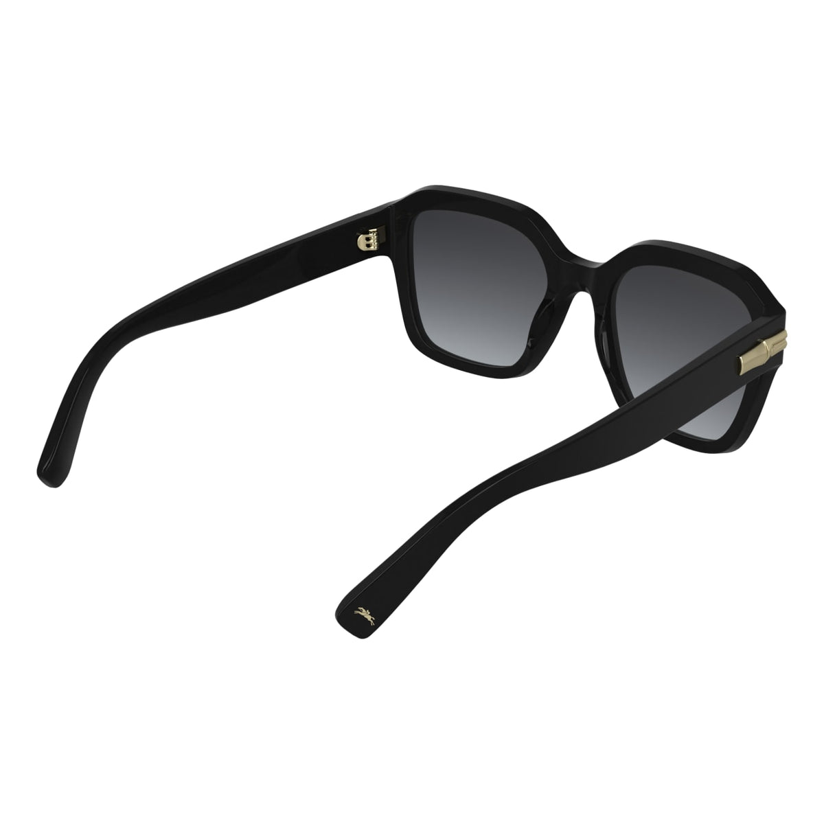 Sunglasses Longchamp LO816S 001 53 20