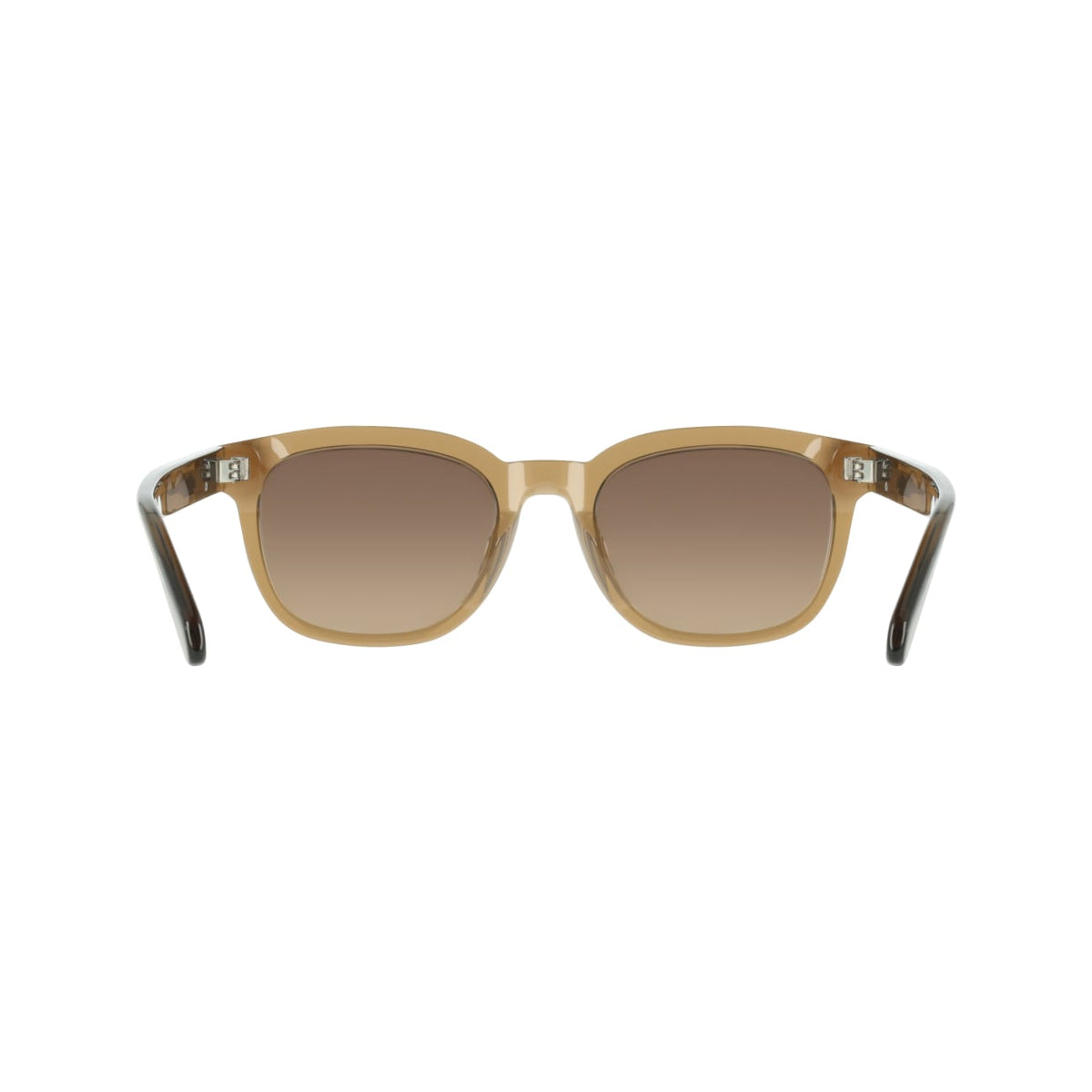 Gafas de Sol Ferragamo SF2107S 232 54 21
