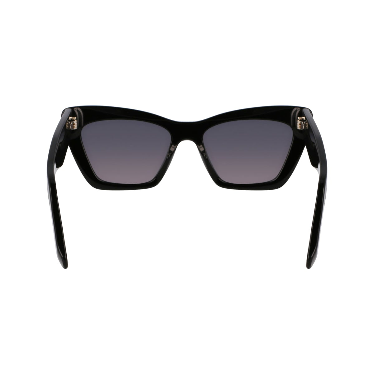 Sunglasses Ferragamo SF929SN 001 55 17