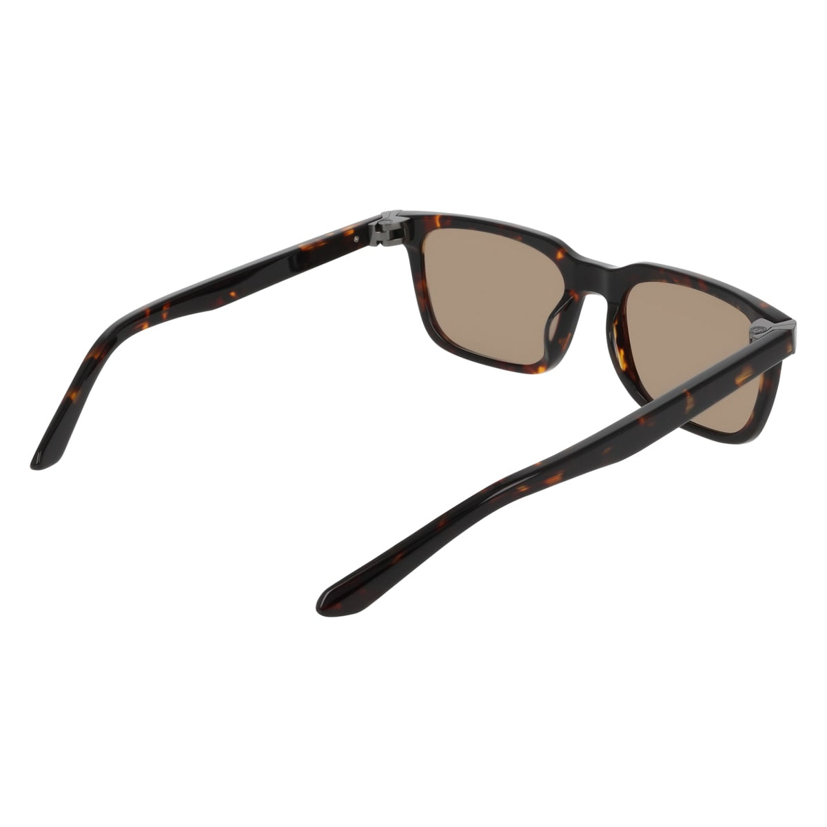 Gafas de Sol Dragon DR BRAXTON LL 240 55 19