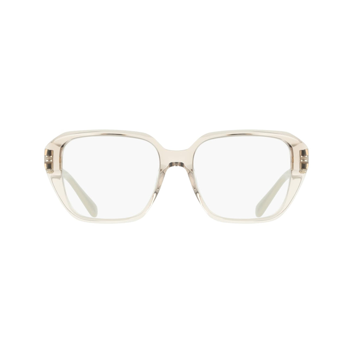 Gafas Graduadas Ferragamo SF3073 260 53 17