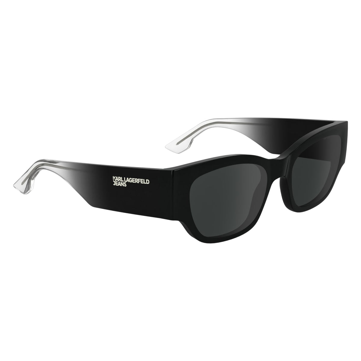 Sunglasses Karl Lagerfeld KLJ6168S 001 52 19