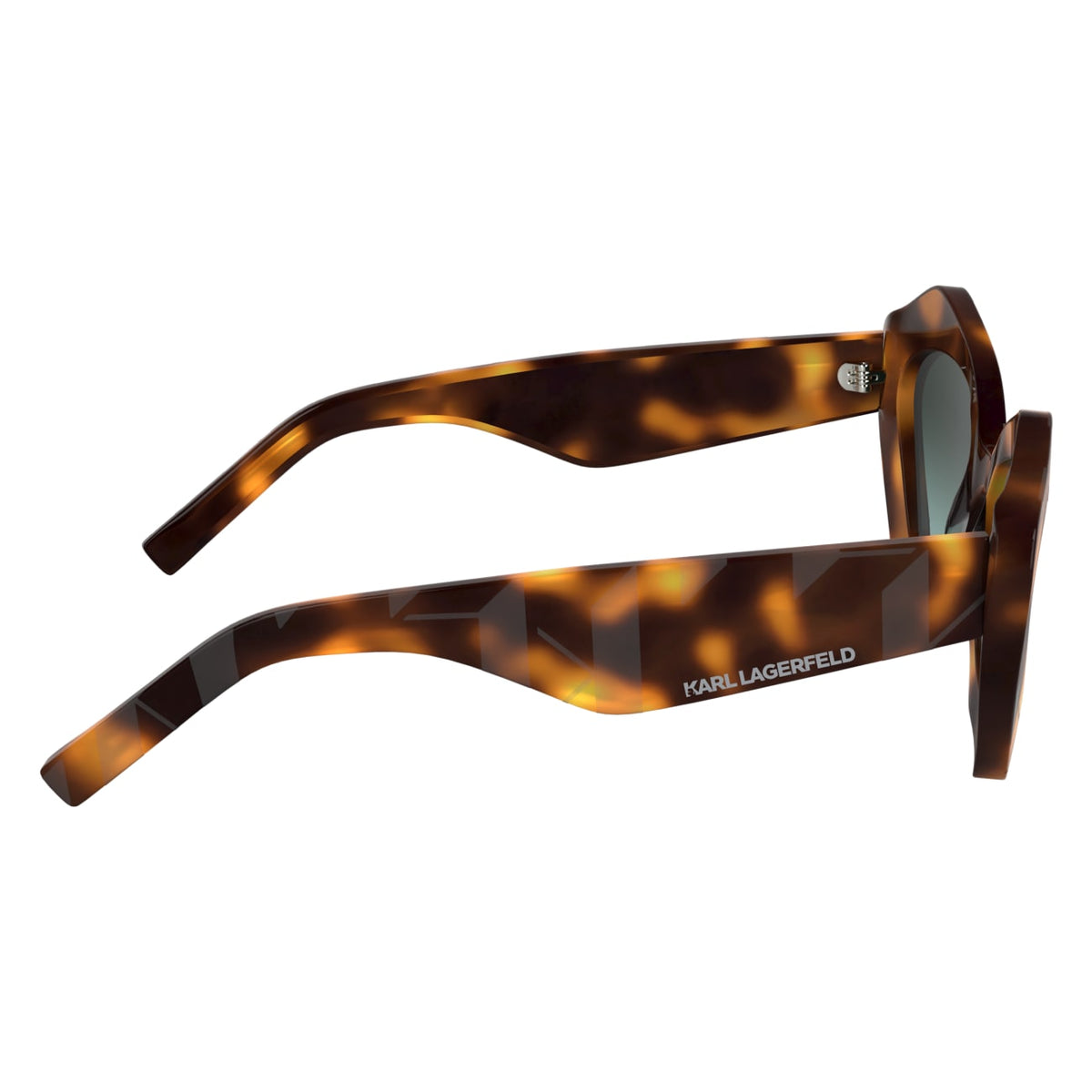 Gafas de Sol Karl Lagerfeld KL6199S 242 53 21
