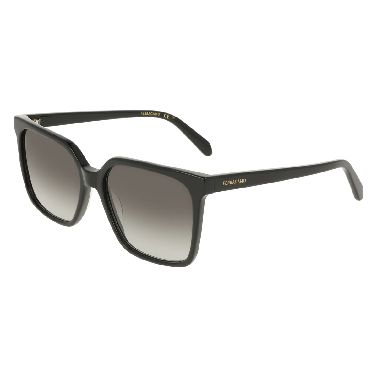 Gafas de Sol Ferragamo SF2102S 001 57 16