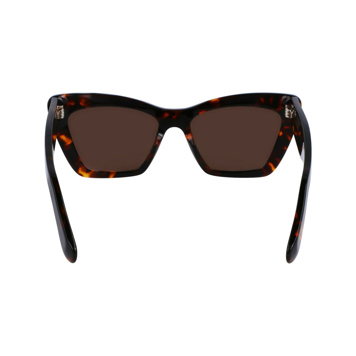Sunglasses Ferragamo SF929SN 242 55 17
