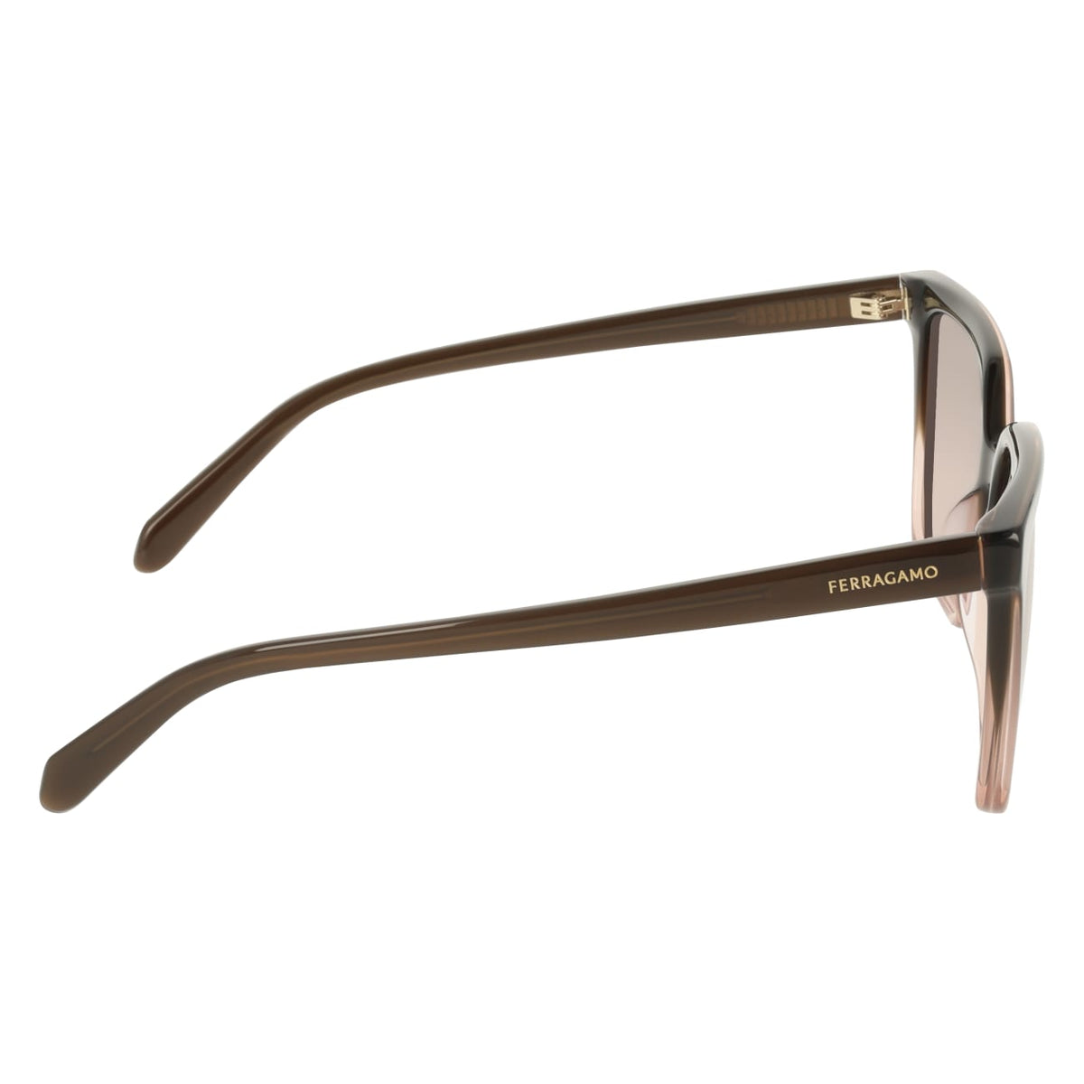 Gafas de Sol Ferragamo SF2102S 234 57 16