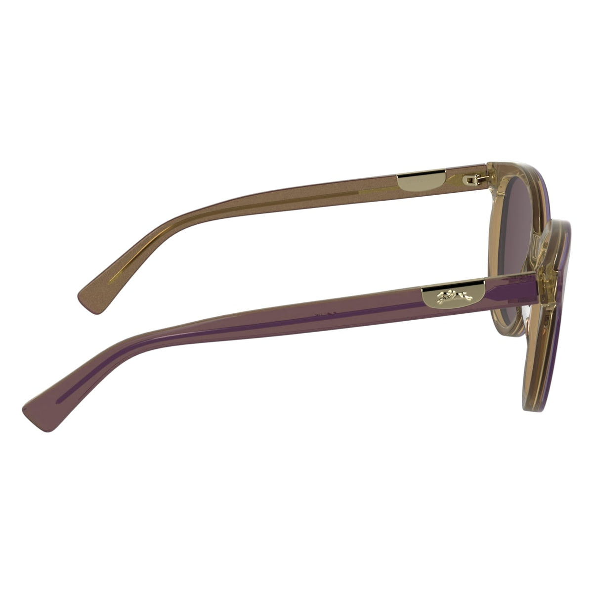 Gafas de Sol Longchamp LO773S 506 52 19