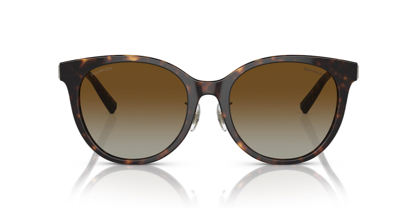 Gafas de Sol Tiffany TF4209D 8015T5 54 19
