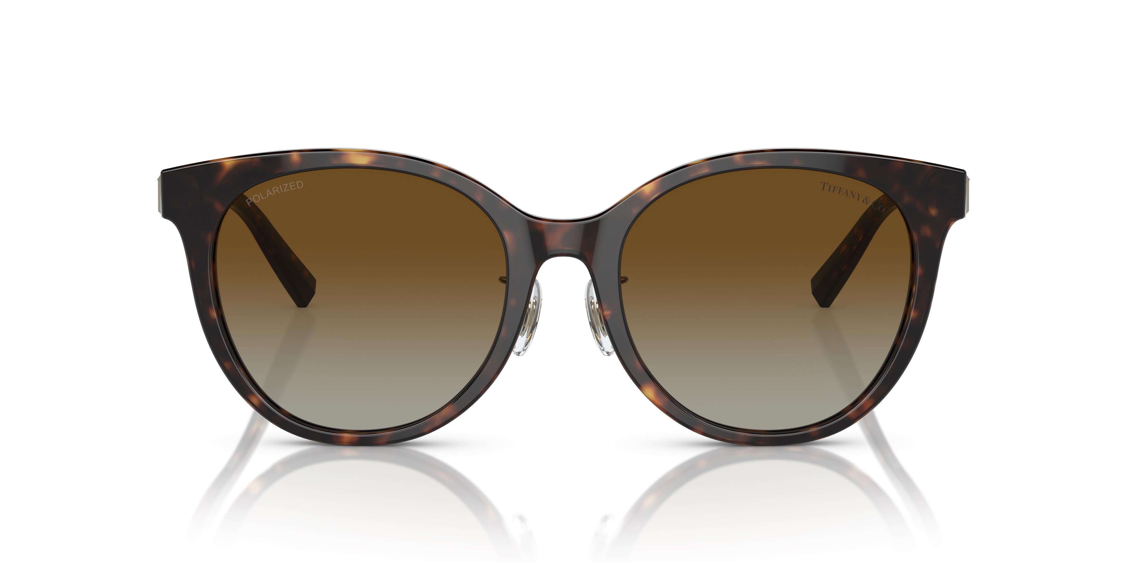 Gafas de Sol Tiffany TF4209D 8015T5 54 19