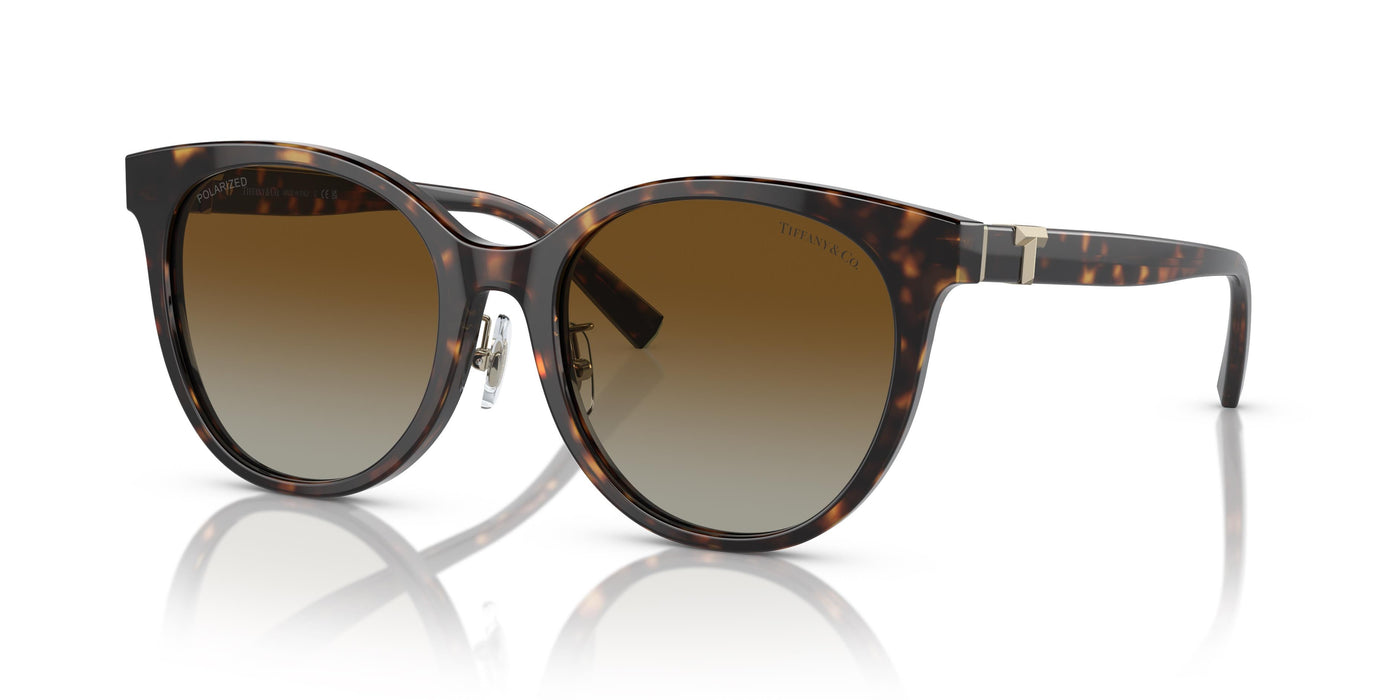 Gafas de Sol Tiffany TF4209D 8015T5 54 19